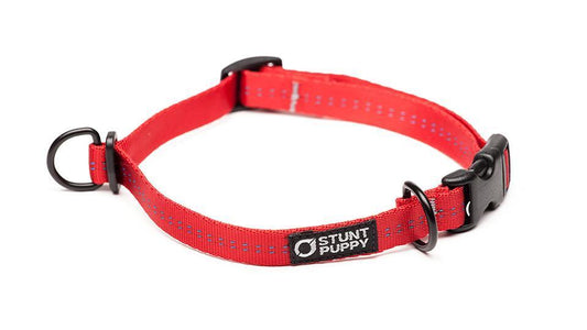 %Show% %Size:Small% %Alt:Small Red Collar%