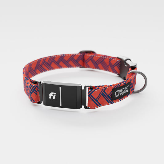 Fi-Ready Fishtail Red Blue Everyday Collar