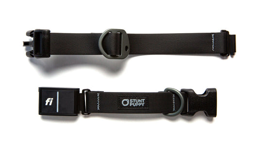 Fi GPS Included Black Dry Collar™ (6 month subscription)