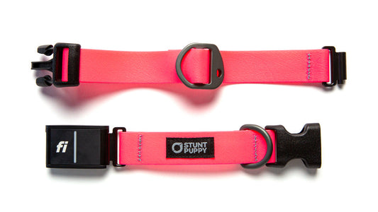 Fi GPS Included Pink Dry Collar™