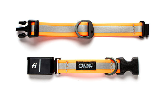 Fi GPS Included Go Dog Glo Orange Dry Collar™ (6 month subscription)