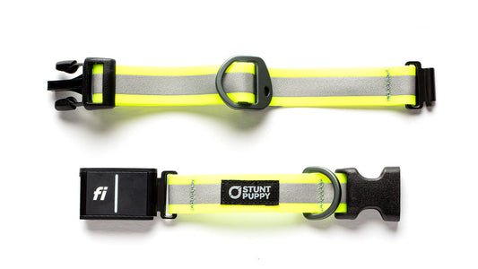 Fi GPS Included Go Dog Glo Yellow Dry Collar™