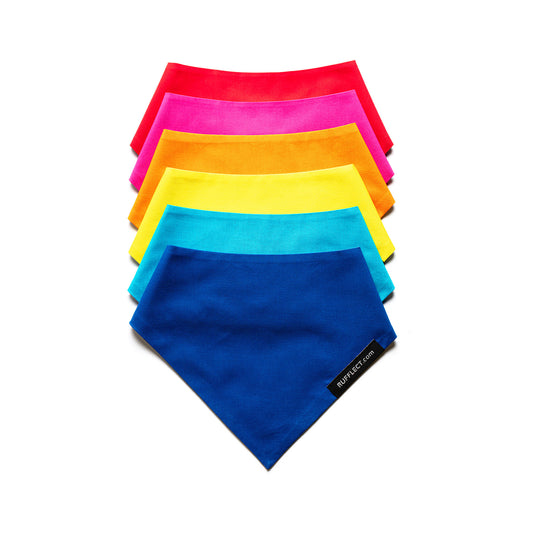 Stunt Puppy x RUFFLECT® Dog Bandana