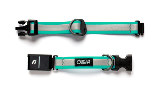 Fi GPS Included Go Dog Glo Teal Dry Collar™ (6 month subscription)