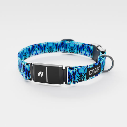 Fi-Ready Jammin Blue Liquid Light Everyday Collar