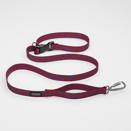 Pixie Red Blue Everyday Leash™