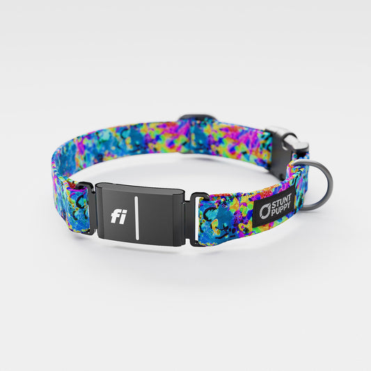 Fi GPS Included Jammin Sea Visions Everyday Collar