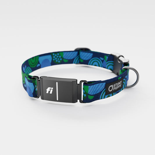 Fi GPS Included Marbles Blue Green Everyday Collar