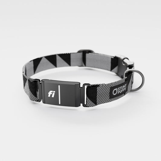 Fi GPS Included Flags Mono Everyday Collar