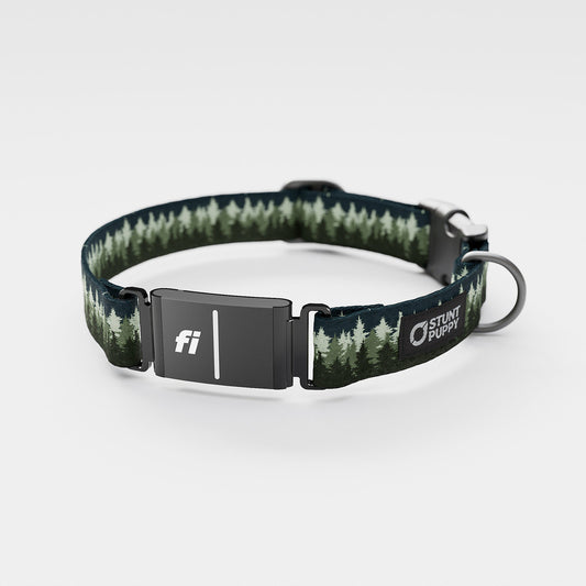 Fi GPS Included Pines Green Everyday Collar
