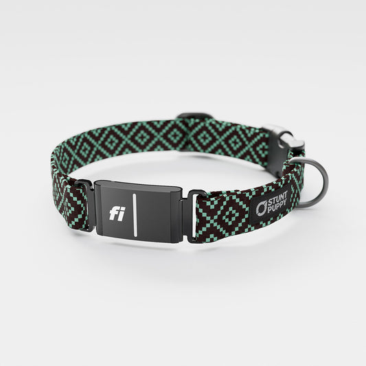 Fi GPS Included Pixie Brown Teal Everyday Collar