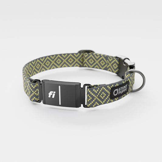 Fi GPS Included Pixie Gray Yellow Everyday Collar