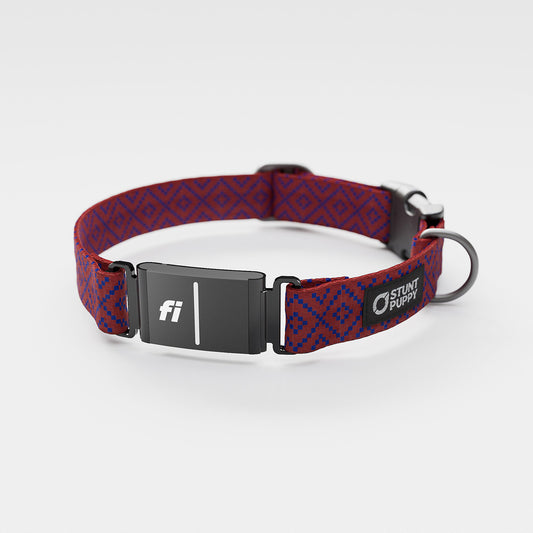 Fi GPS Included Pixie Red Blue Everyday Collar