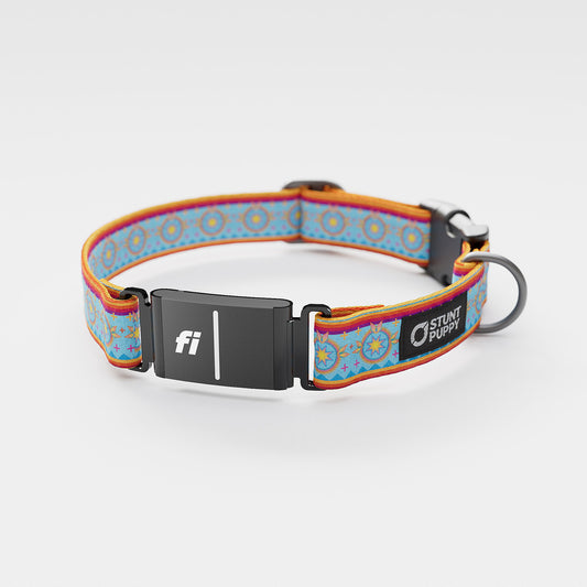 Fi GPS Included Rocky Boy Pop Sun Dogs Everyday Collar (6 month subscription)