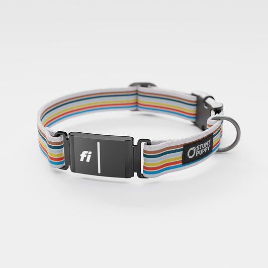 Fi GPS Included Track Everyday Collar