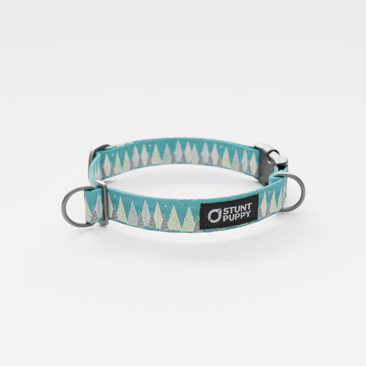Holiday Forest Everyday Collar