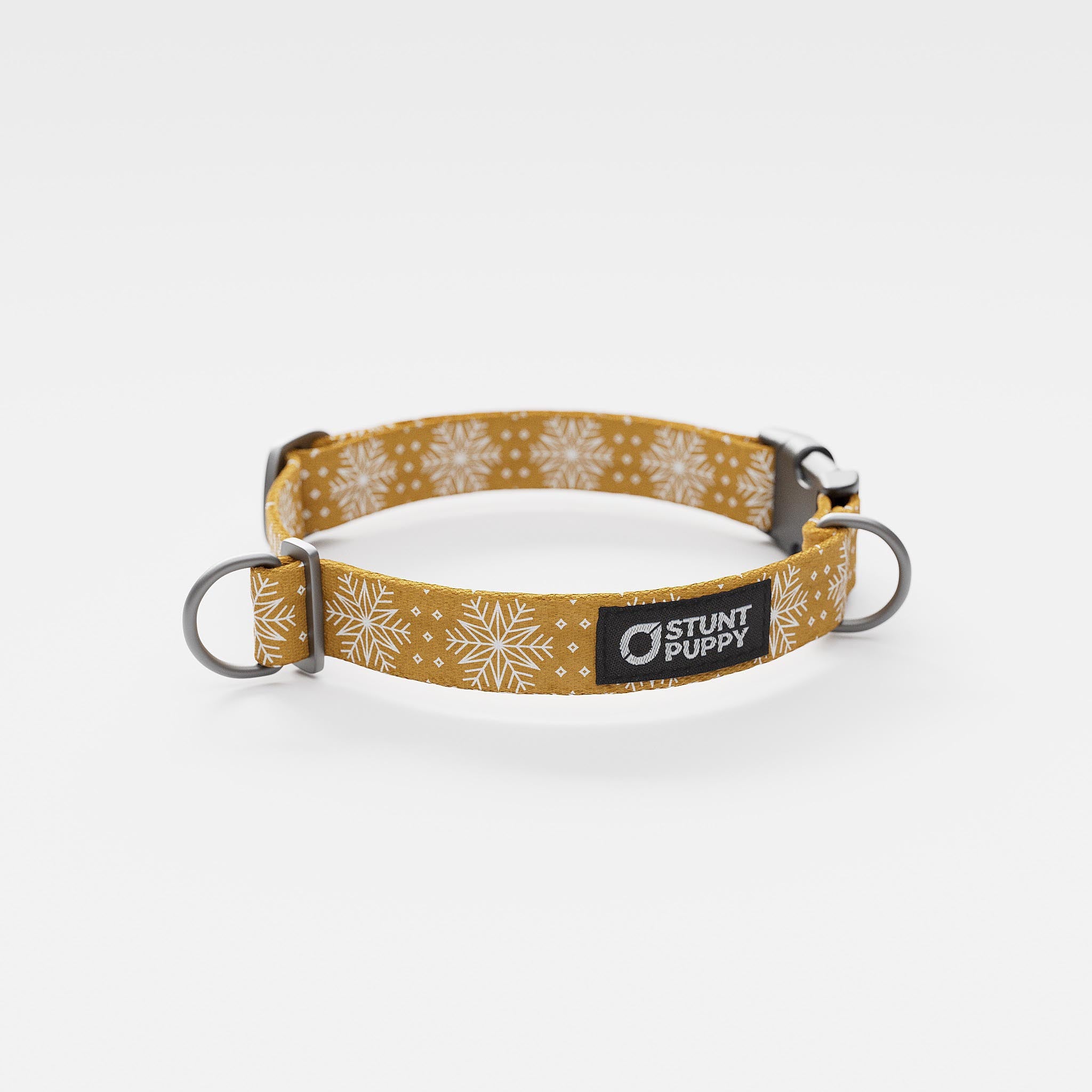 Stunt Puppy Holiday Gold Flake Collar Dog Collar