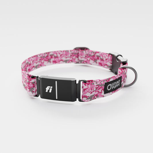 Fi GPS Included Camo Pink Everyday Collar