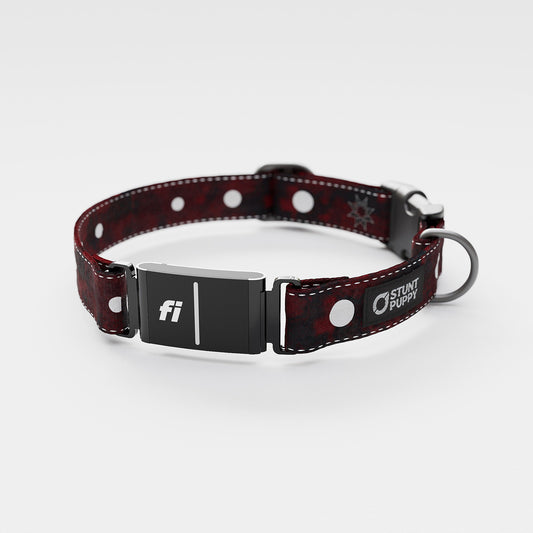 Fi GPS Included Łééchąą Yázhí (Puppy) Evening Star Everyday Collar (6 month subscription)