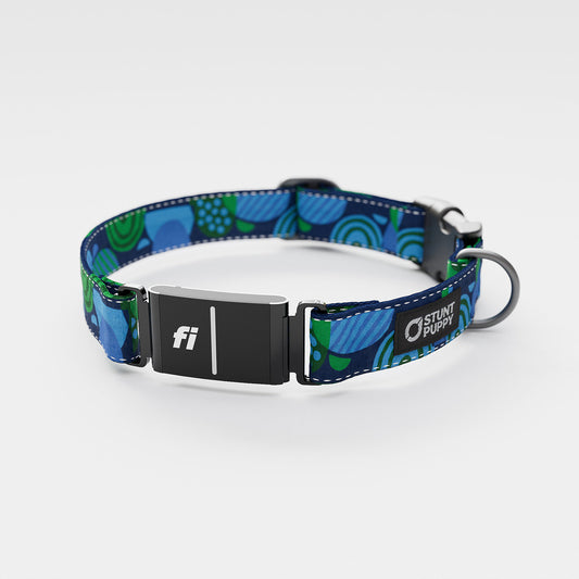 Fi GPS Included Marbles Blue Green Everyday Collar