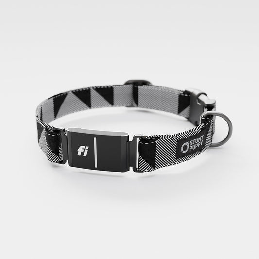 Fi GPS Included Flags Mono Everyday Collar