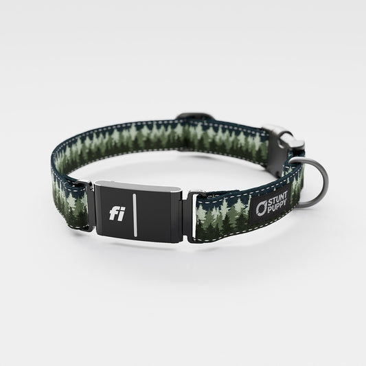 Fi GPS Included Pines Green Everyday Collar