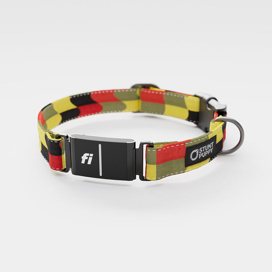 Fi GPS Included Flag Pirate Everyday Collar