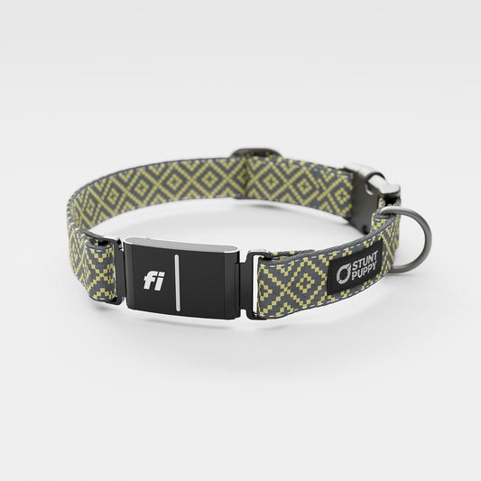 Fi GPS Included Pixie Gray Yellow Everyday Collar