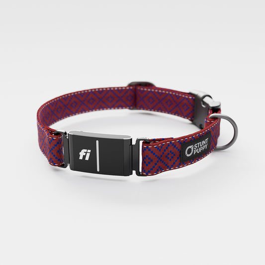 Fi GPS Included Pixie Red Blue Everyday Collar