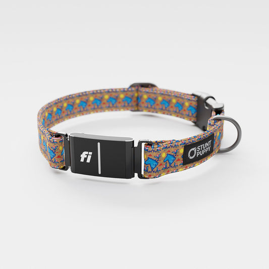 Fi GPS Included Rocky Boy Pop Plains Guardian Everyday Collar (6 month subscription)