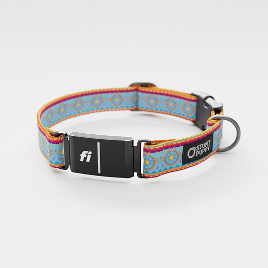 Fi GPS Included Rocky Boy Pop Sun Dogs Everyday Collar