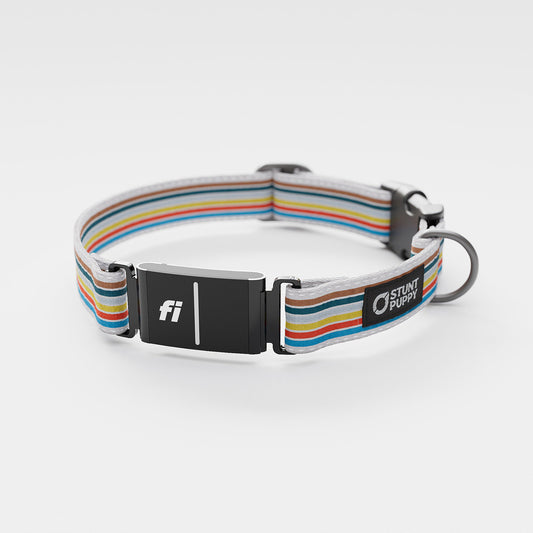 Fi GPS Included Track Everyday Collar