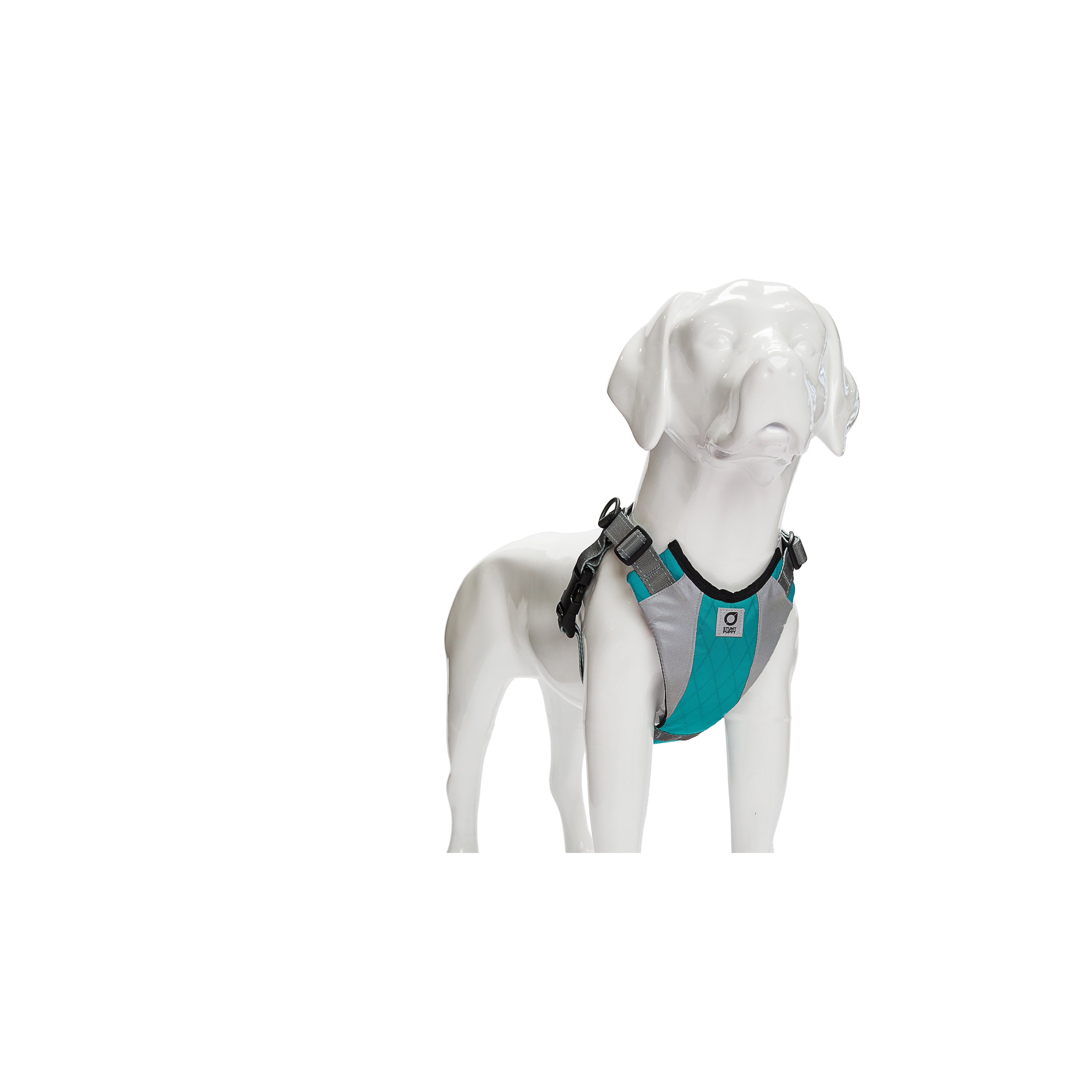 Go Dog Glo Harness Dog Harness Stunt Puppy