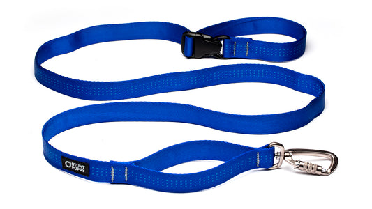 %Show% %Size:Regular% %Alt:Regular Blue Leash%