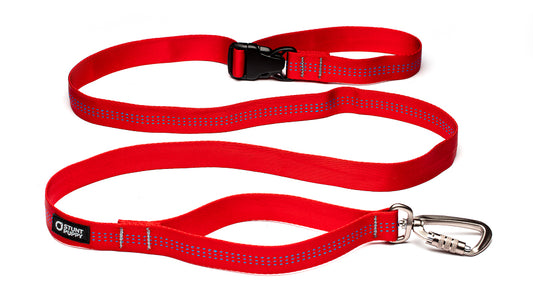 %Show% %Size:Regular% %Alt:Regular Red Leash%