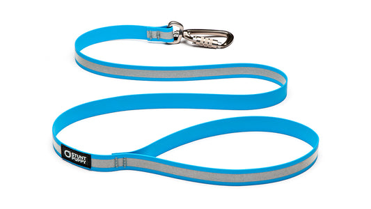 Go Dog Glo™ Dry Leash™