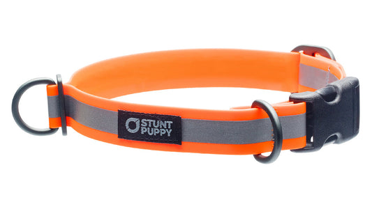Go Dog Glo Dry Collar