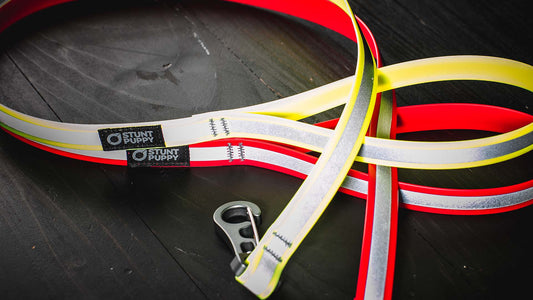 Go Dog Glo™ Dry Leash™