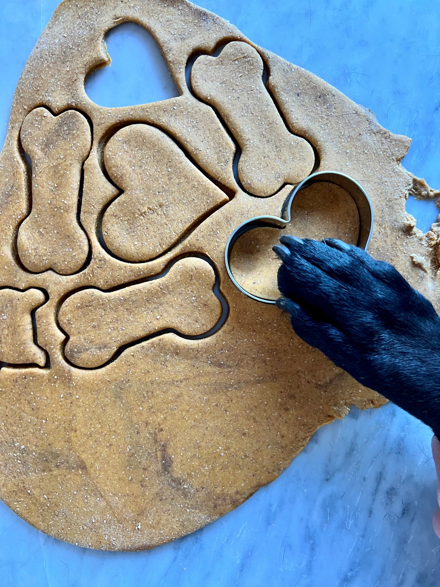 Assortment of homemade DIY dog treats displayed on a marble table. Various shapes and sizes, including bones and hearts, with ingredients like peanut butter and pumpkin puree. Perfect for pampering your furry friend with wholesome, homemade goodness