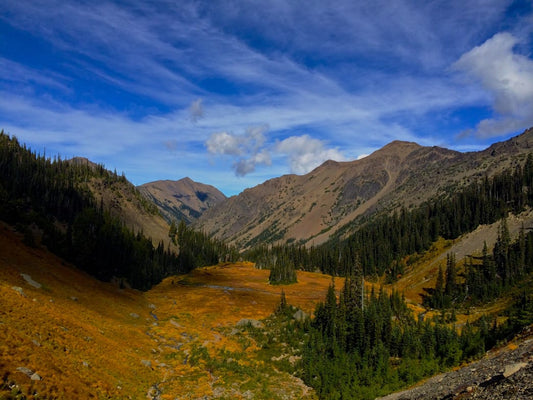 5 Amazing Fall Hikes in Olympic National Park