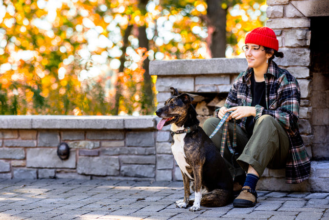 Stunt Puppy x Vermont Flannel Co