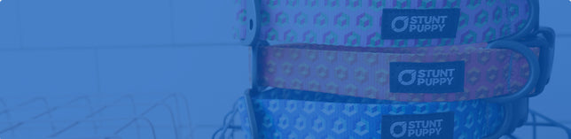 Squares & Stripes