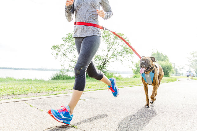 Run With Your Best Friend