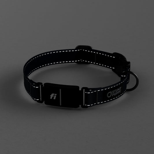 Fi GPS Included Lights Out Monochrome Everyday Collar (6 month subscription)