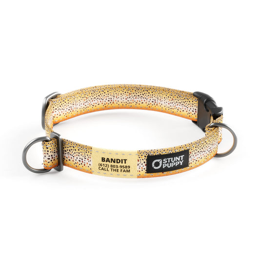 Brown Trout Everyday Collar