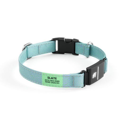 Fi-Ready Petri Cerulean Collar