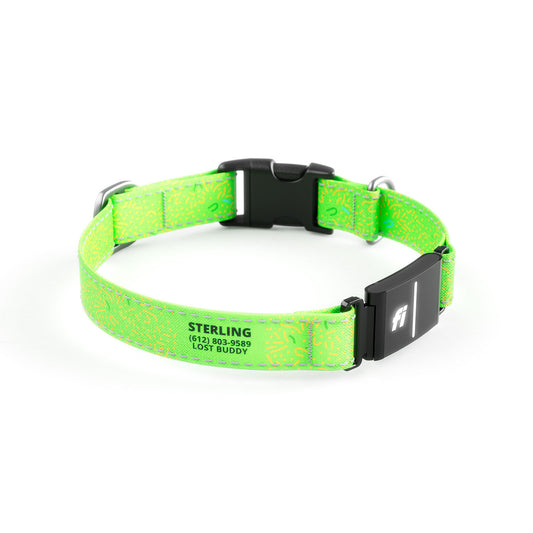 Fi-Ready Petri Chartreuse Collar