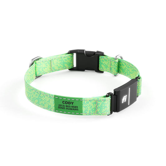 Fi-Ready Petri Lime Collar