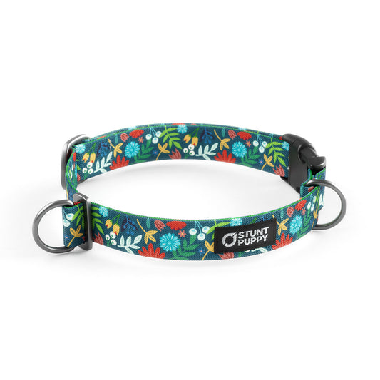 Frolic Fall Everyday Collar IMAGE TEST