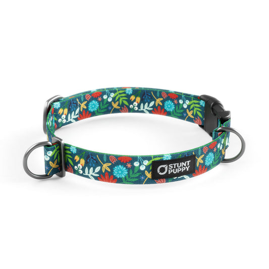 Frolic Fall Everyday Collar IMAGE TEST